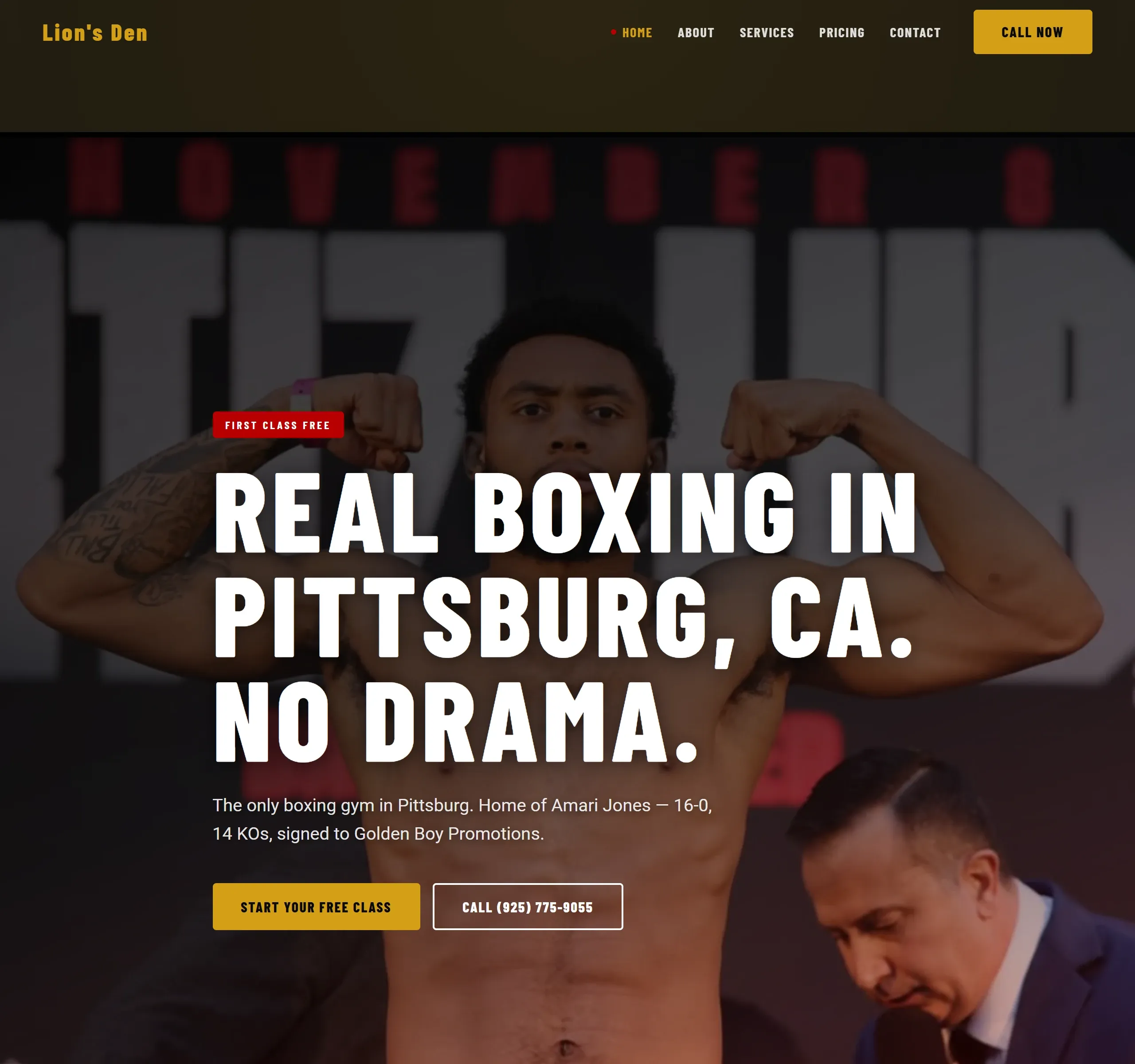 Lion's Den Boxing website screenshot